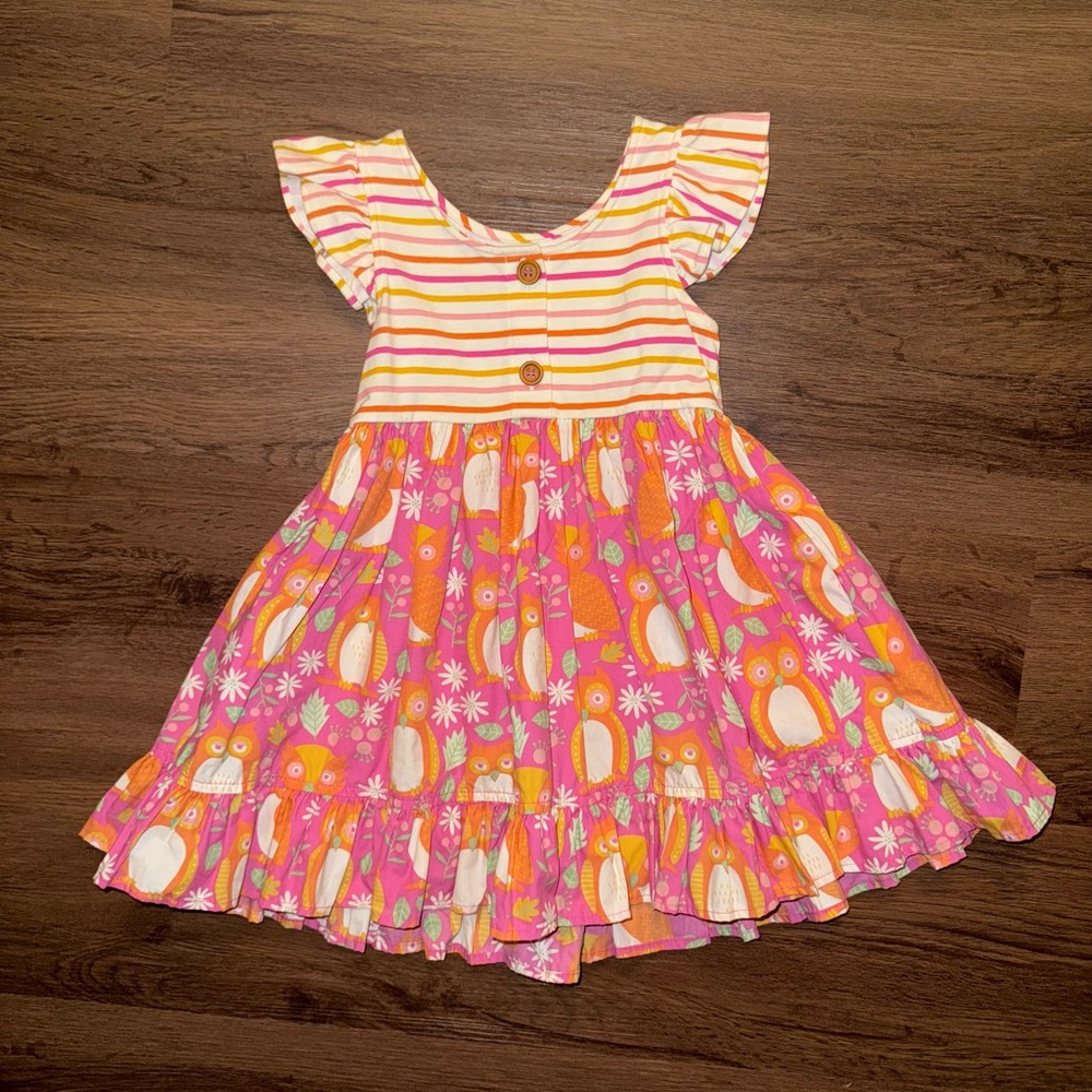 Eleanor Rose Pink & Orange Fall Owl Dress (3-4)